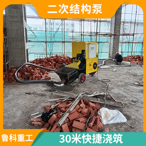 微型二次結(jié)構(gòu)泵